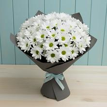 Букет цветов из:  Хризантемы в Ульянино