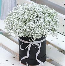 Цветочная композиция из Гипсофила в шляпной коробке #REPLACE_PRED# Ульянино