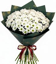 Букет цветов из:  Хризантемы в Ульянино