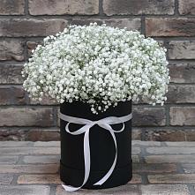 Цветочная композиция из Гипсофила в шляпной коробке #REPLACE_PRED# Ульянино