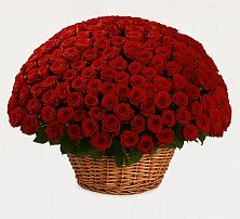 Премиум букет из: Розы #REPLACE_PRED# Ульянино