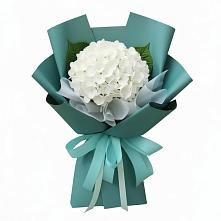 Букет цветов из:  Гортензия #REPLACE_PRED# Ульянино